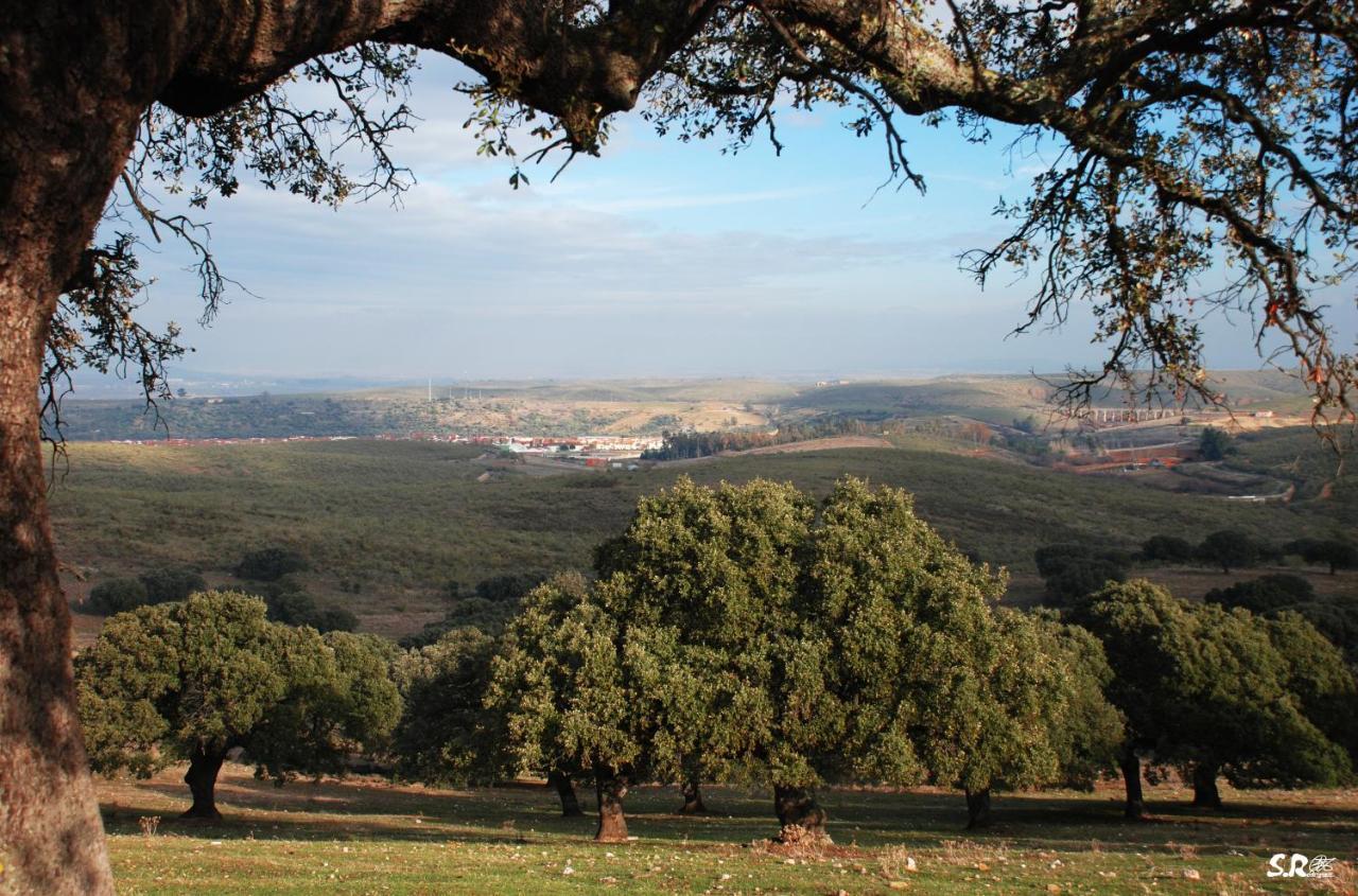 Turistico La Ribera