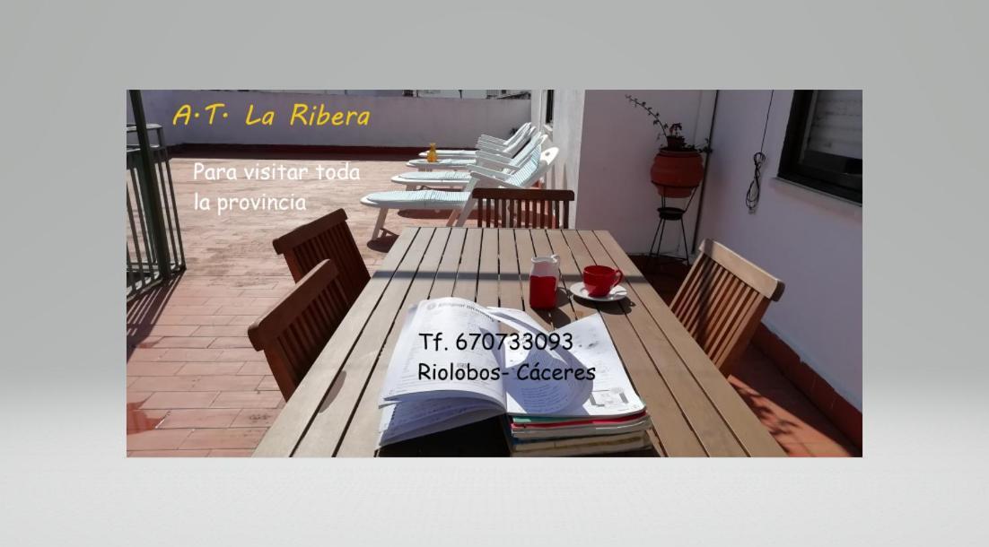 Turistico La Ribera Apartment